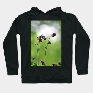 Early Spring Hoodie